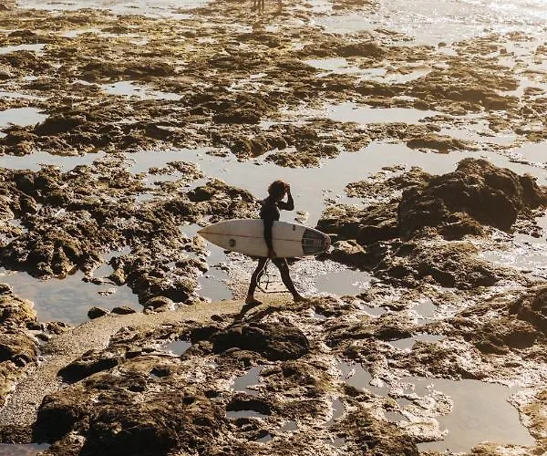 Punta Paradiso Отель типа 